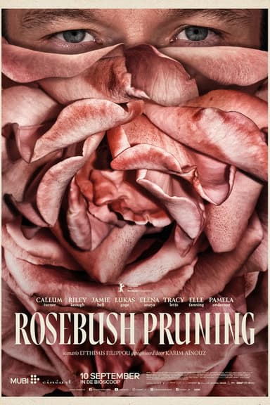 Rosebush Pruning